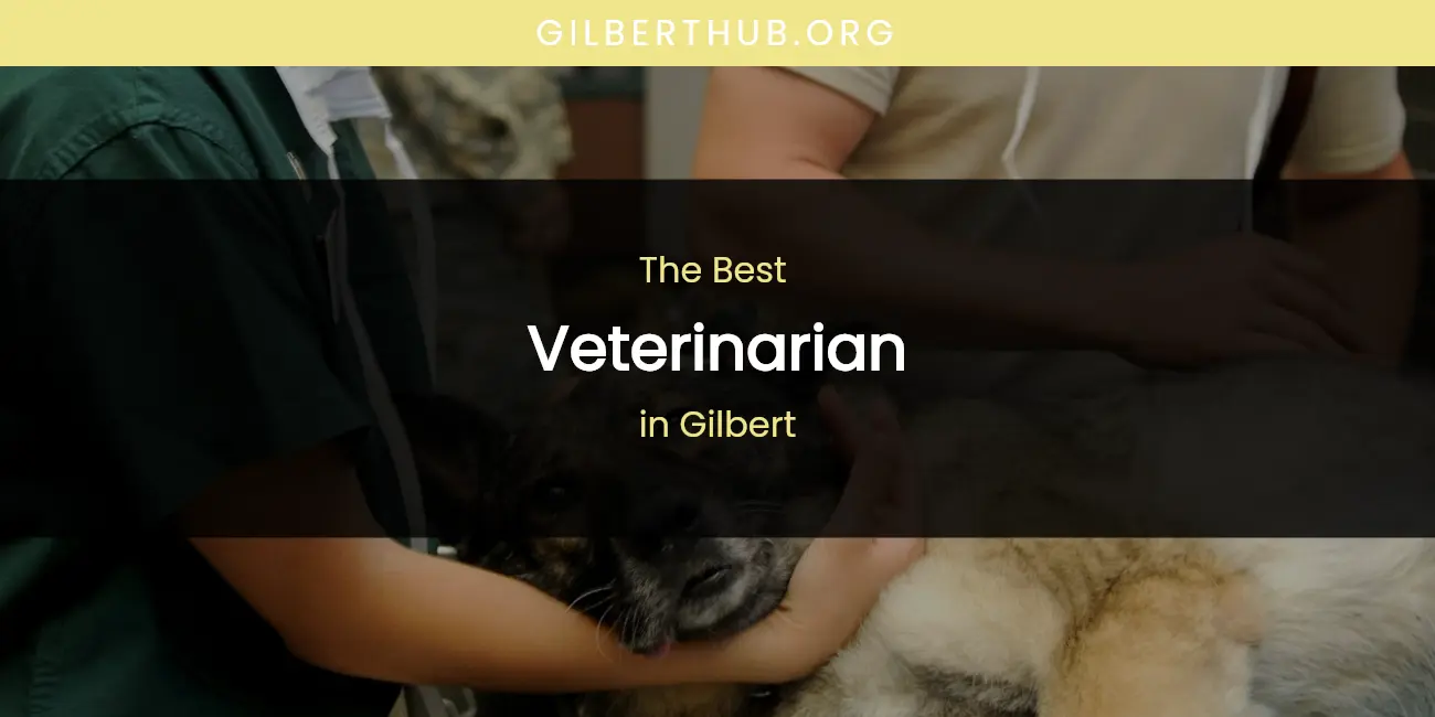 The Absolute Best Veterinarian in Gilbert featured